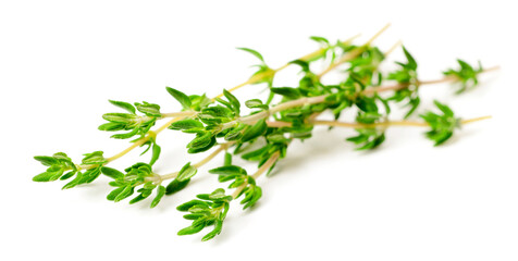 fresh thyme isolated on white background
