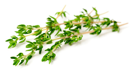 fresh thyme isolated on white background