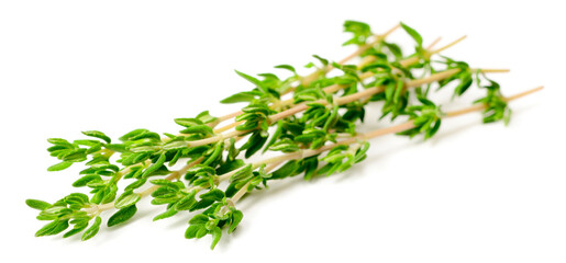 fresh thyme isolated on white background