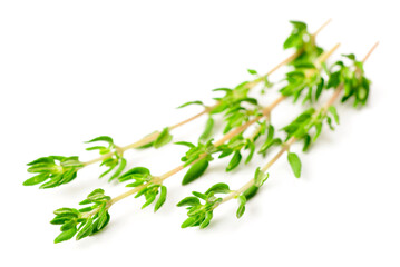 fresh thyme isolated on white background