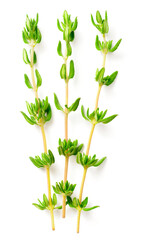 fresh thyme isolated on white background