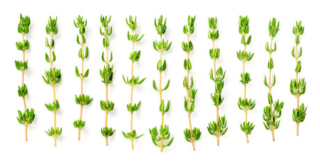 fresh thyme isolated on white background