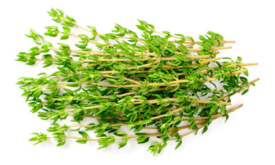 fresh thyme isolated on white background