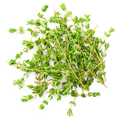 fresh thyme isolated on white background