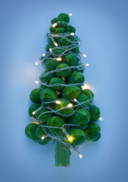 Christmas tree shaped Brussels sprouts wrapped in glowing Christmas lights