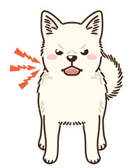 Obraz premium 威嚇する白柴