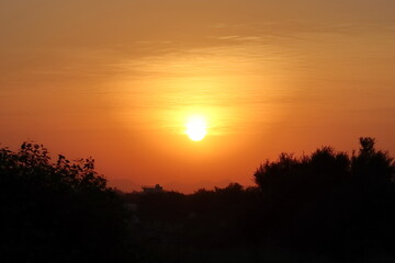 Photograph of a sunrise in which the bright full sun has entered the sky beyond the hillside and silhouette wild tree