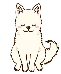 おじぎする白柴