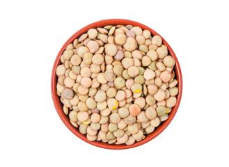 Brown Lentils in cup with bowl isolated on white background.