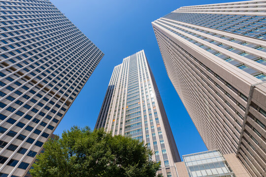 118 Best 文部科学省 Images Stock Photos Vectors Adobe Stock