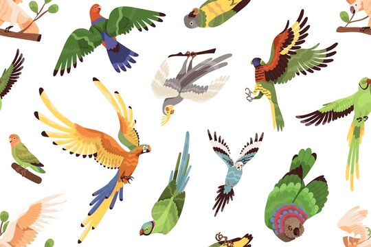 Parrots pattern. Seamless tropical background with exotic jungle birds. Endless repeating print with different ara, macaws and parakeets flying. Repeatable texture. Colored flat vector illustration