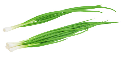 Set of a fresh green onion isolated on white background.