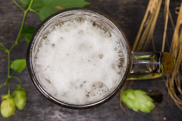 Top view of glass mug with beer against hop branches