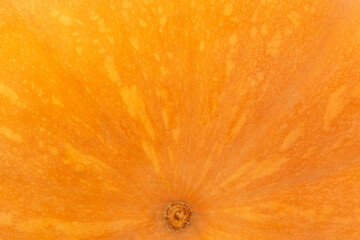 close up of bright orange ripe pumpkin