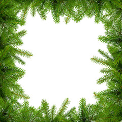 A square illustration with unadorned fir sprigs with empty space for copy, advertisement or text. Isolated fir twigs.