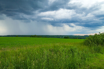 green landscape, field