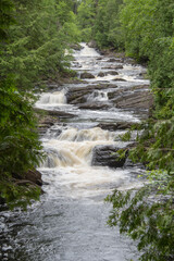 stream in the forest