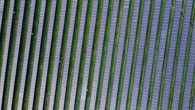 Top Down View Of A Solar Power Station, Renewable Energy, Solar Panels In Utby, Gothenburg, Sweden - aerial drone shot