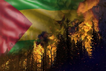 Forest fire fight concept, natural disaster - flaming fire in the woods on Sao Tome and Principe flag background - 3D illustration of nature