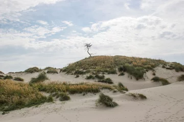 Photo sur Plexiglas Mer du Nord, Pays-Bas Le paysage de dunes à Haamstede, Zélande, Pays-Bas