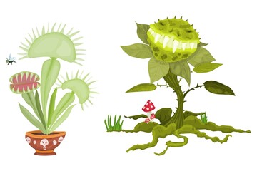 dangerous plants carnivorous organic animal vector