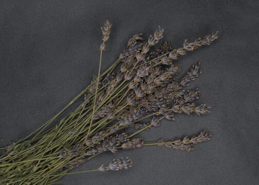 Close-up Shot Of A Dried Bunch Of Lavender Flowers On A Black Background
