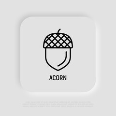 Acorn thin line icon. Modern vector illustration.