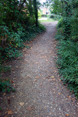 Fototapeta premium A Gentle Woodland Walk in the Countryside Path