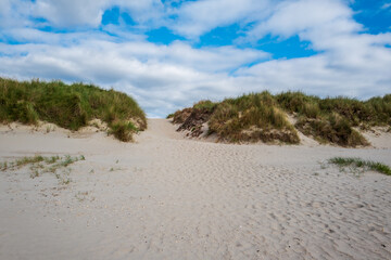 sand dunes on the beach