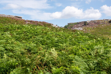 Peak District moorland landscape 