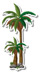 Palm tree sticker on white background