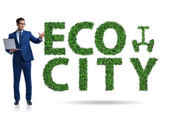 Eco city in ecology concept with businessman