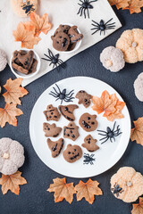 A delicious Halloween treat - gingerbread cookies with chocolate icing in bowls on a table with pumpkins, leaves and spiders. Traditional celebration, sweet food. Top and vertical view