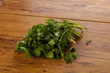 Fresh green Coriander leaves heap