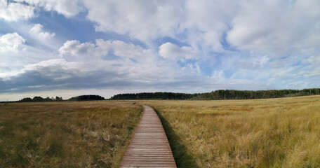 Wooden plank flooring over a swamp with yellowed grass against a beautiful sky with clouds