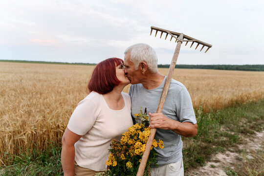 Couple with flower and rake kissing at wheat field