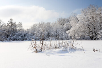 Fototapeta na wymiar winter landscape field covered by snow