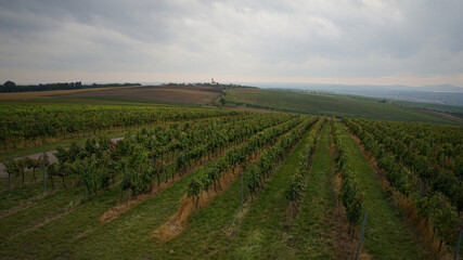 Fototapeta na wymiar Czech Republic wine region of Moravia aerial view, vineyard in Kobyli