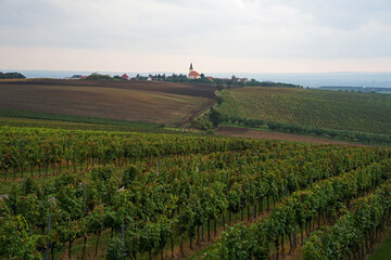 Fototapeta na wymiar Czech Republic wine region of Moravia aerial view, vineyards on the hill