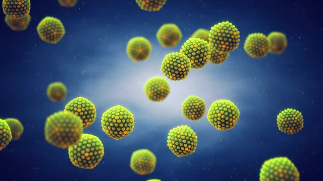Animation of Herpes simplex viruses ( HSV ) . Blisters or cold sores are caused by Herpes virus infection.