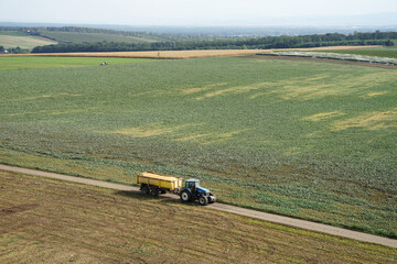 Tractor with harvested corn or grain in trailer on rurar road aerial view, agriculture concept