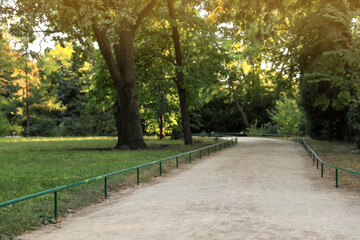 Pathway in park with green trees on sunny day