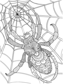 spider coloring outline on a white background illustration antistress for children and adults holiday cobweb insect page book print