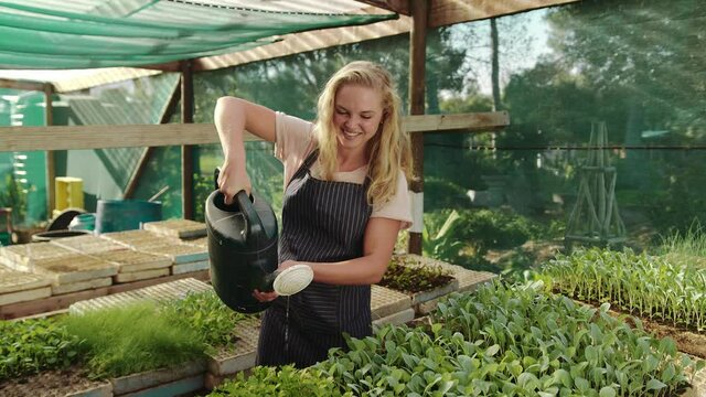caucasian female gardener watering crops in greenhouse