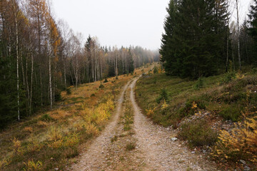 Brdy military area in autumn, abandoned road, Czech Republic