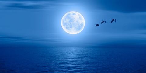 Naklejka na ściany i meble Migratory Birds Flying In The Sky with full blue moon 