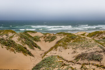 Pacific Coast sand dunes with high surf on the horizon