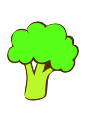 broccoli, healthy green vegetable