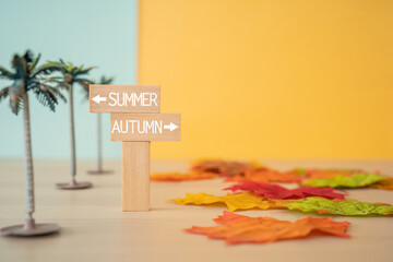 「SUMMER」「AUTUMN」と書かれた積み木と椰子の木のおもちゃ、紅葉