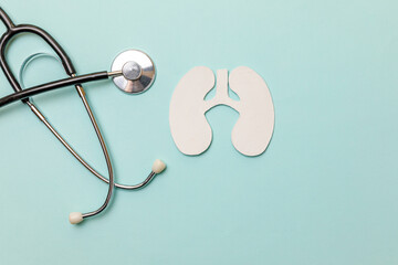 Lung health therapy medical concept. Flat lay design lungs symbol model, stethoscope on pastel blue...